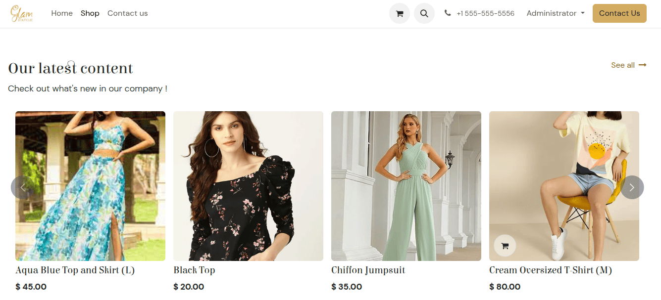 نمونه‌ای از یک block کاتالوگ برای محصولات خاص