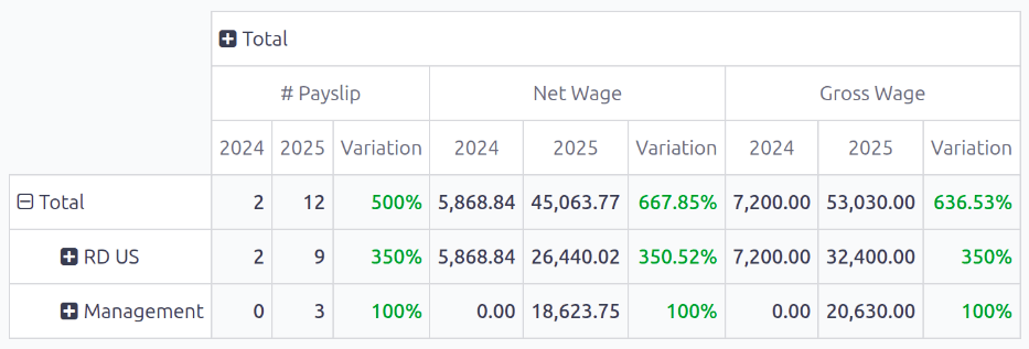Pivot table view comparing two years of data.