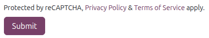 پیام policy reCAPTCHA نمایش‌داده‌شده در یک فرم